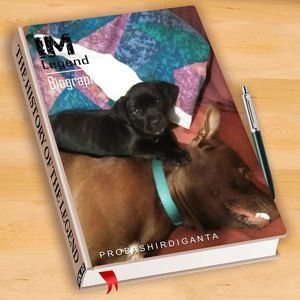 Meet your Posher, Denise